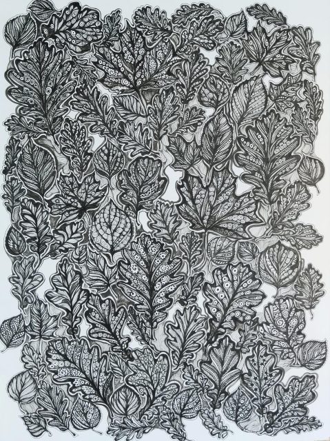 image11